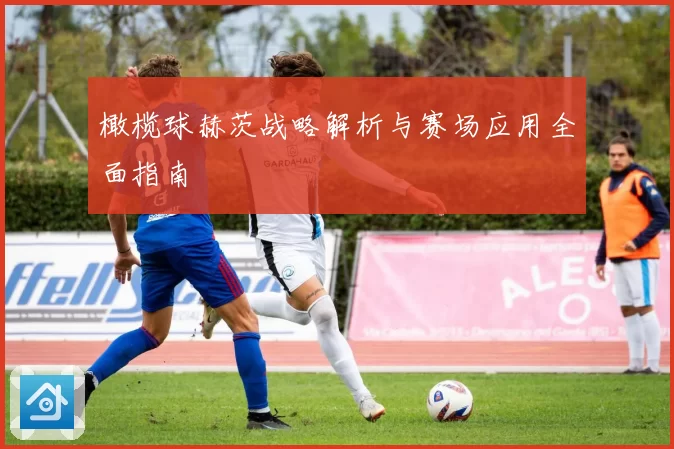 橄榄球赫茨战略解析与赛场应用全面指南
