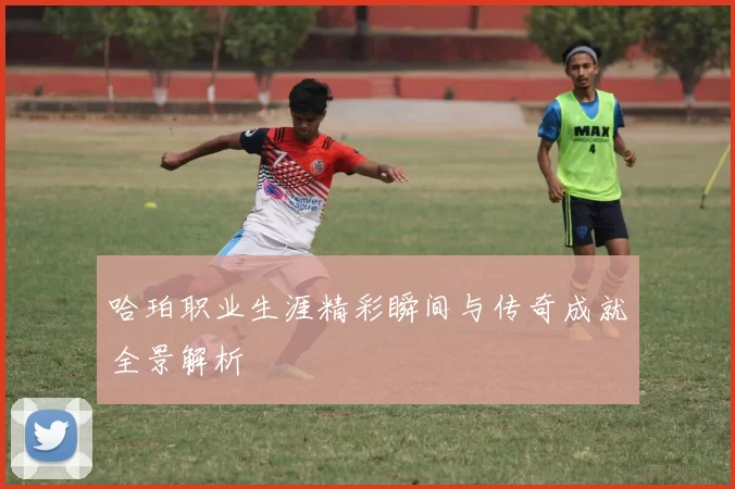 哈珀职业生涯精彩瞬间与传奇成就全景解析