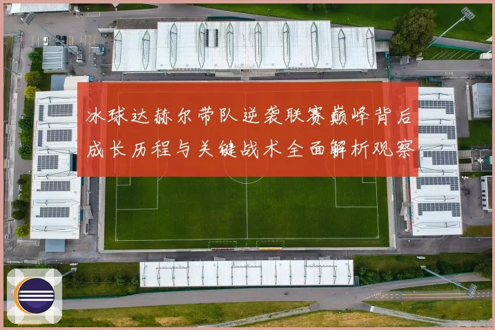 冰球达赫尔带队逆袭联赛巅峰背后成长历程与关键战术全面解析观察记