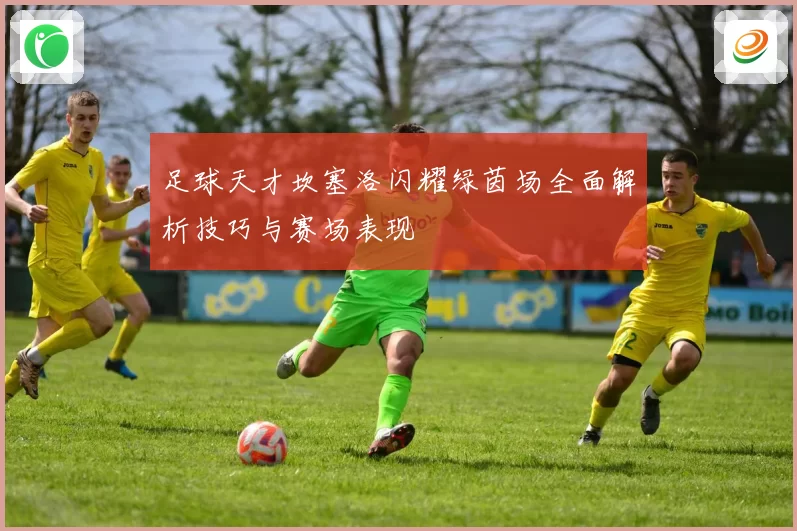 足球天才坎塞洛闪耀绿茵场全面解析技巧与赛场表现