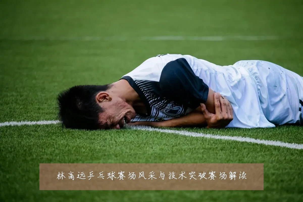 林高远乒乓球赛场风采与技术突破赛场解读