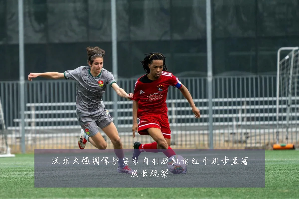 沃尔夫强调保护安东内利迈凯伦红牛进步显著成长观察